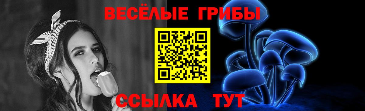 Псилоцибиновые грибы мицелий Сосновый Бор